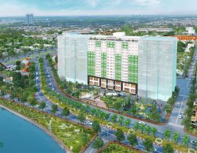 Tổng quan căn hộ Citizen Trung Sơn